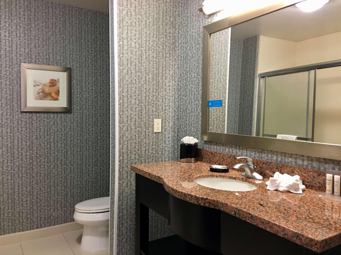Bathroom 4, Hampton Inn & Suites Tulsa/Central, Tulsa