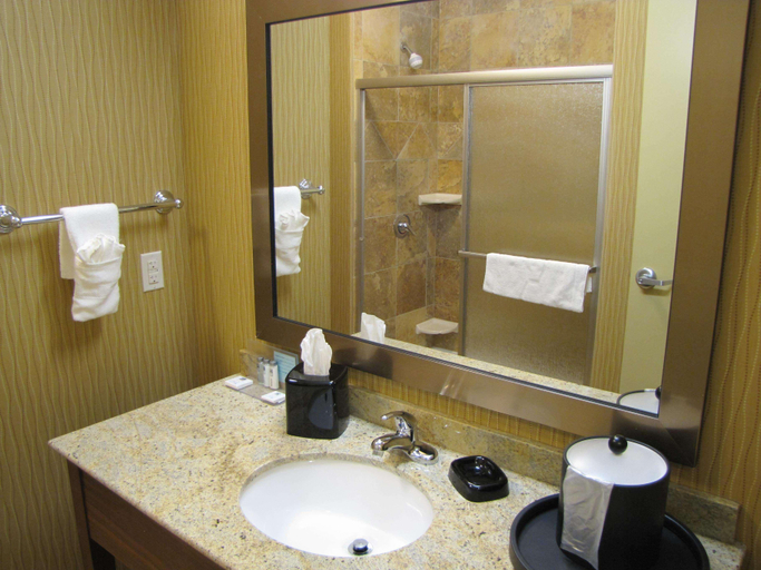 Bathroom 3, Hampton Inn & Suites Jamestown, ND, Stutsman