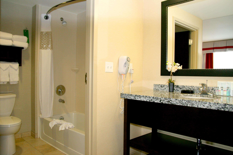 Bathroom 5, Hampton Inn & Suites Salt Lake City/University-Foo, Salt Lake