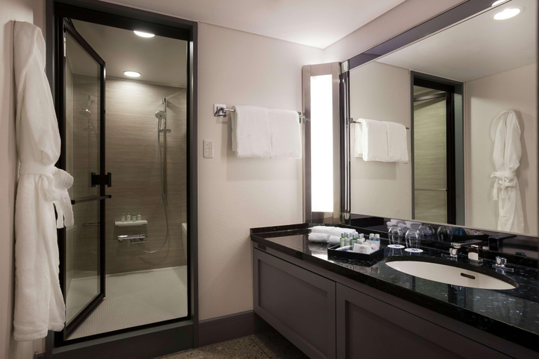 Bathroom 5, Kyukaruizawa Kikyo, Curio Collection by Hilton, Karuizawa