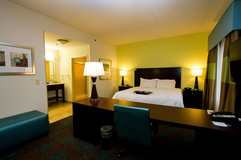 Bedroom 4, Hampton Inn Fayetteville, Lincoln