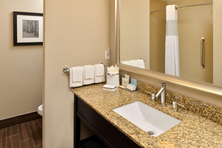 Bathroom 4, Hampton Inn & Suites Harvey/New Orleans West Bank, Jefferson