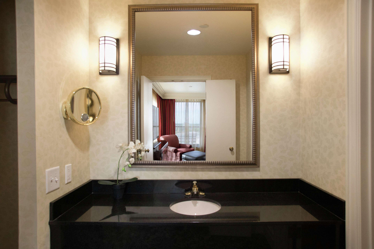 Bathroom 5, President Abraham Lincoln Springfield, DoubleTree, Sangamon