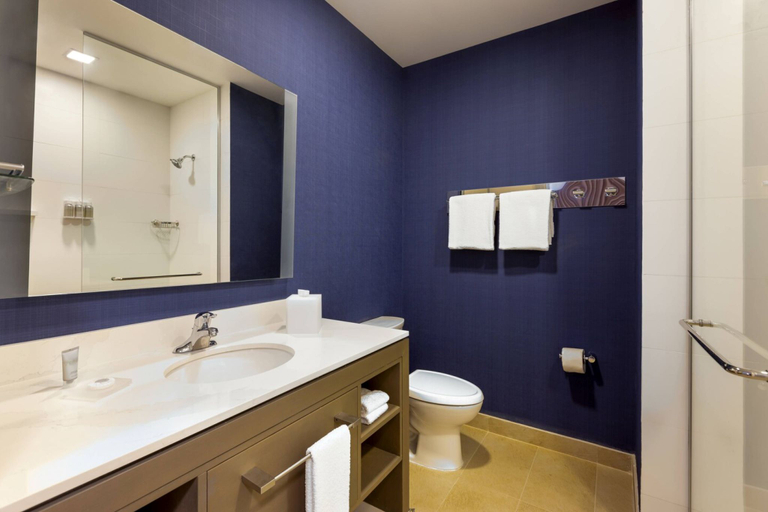 Bathroom, Residence Inn by Marriott Playa del Carmen, Cozumel