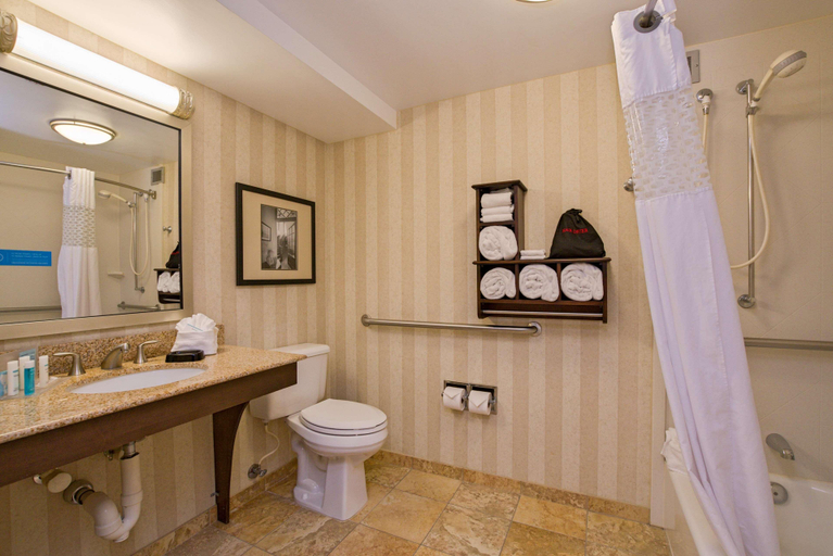 Bathroom 4, Hampton Inn Portsmouth Central, Rockingham