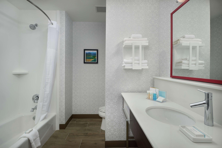 Bathroom 4, Hampton Inn By Hilton Burley, Cassia