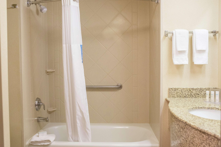 Bathroom 4, Hampton Inn & Suites Lathrop, San Joaquin