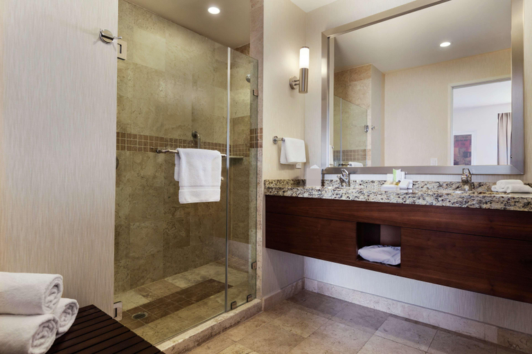 Bathroom 4, Hilton Garden Inn Queretaro, Querétaro