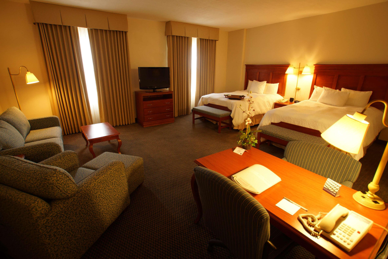 Bedroom 3, Hampton Inn by Hilton Tampico Aeropuerto, Altamira
