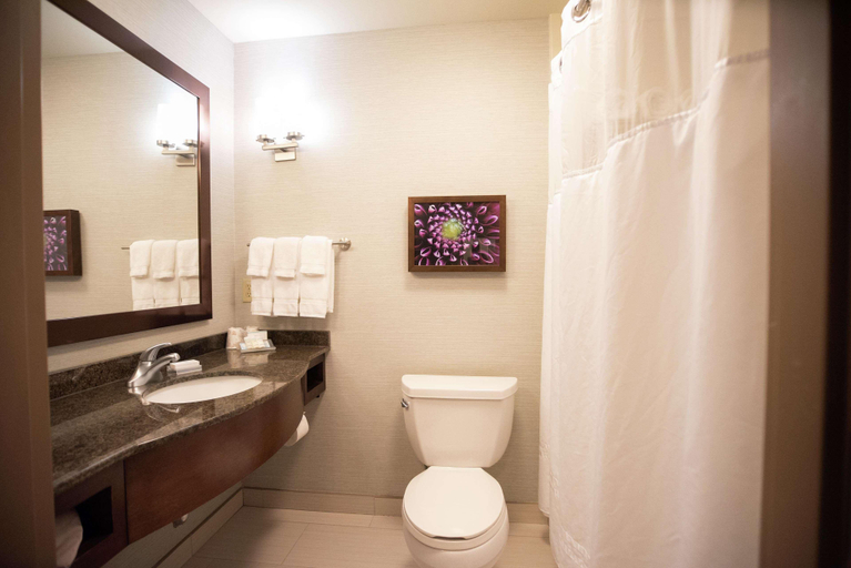 Bathroom 5, Hilton Garden Inn Covington/Mandeville, Saint Tammany