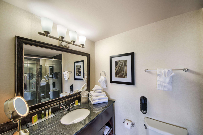 Bathroom 5, DoubleTree by Hilton Port Huron, Saint Clair