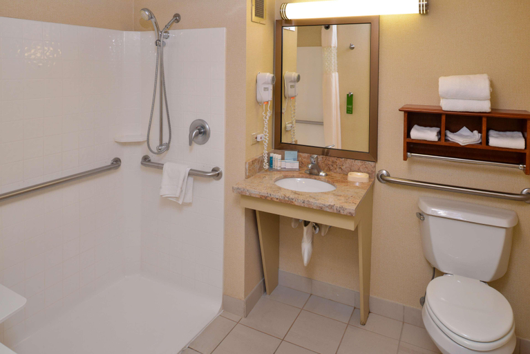 Bathroom 5, Hampton Inn Chicago/Carol Stream (Wheaton Area), Dupage