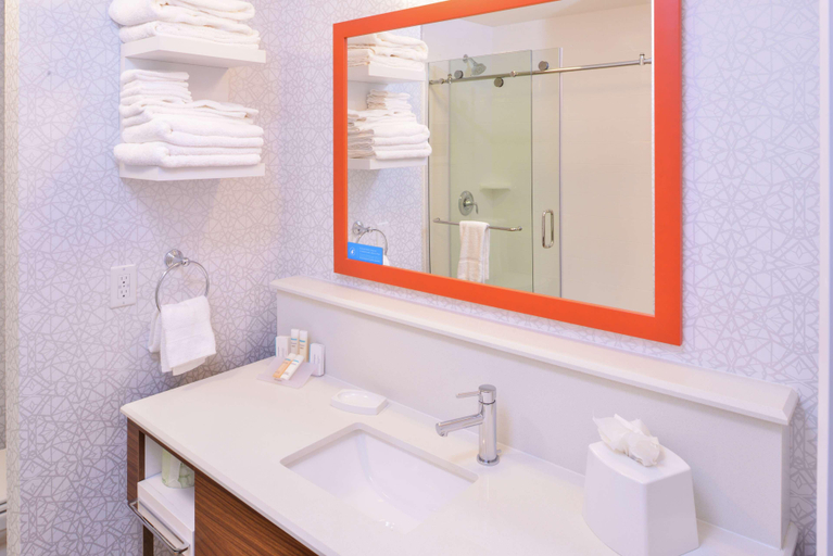 Bathroom 5, Hampton Inn Lakeville Minneapolis, Dakota