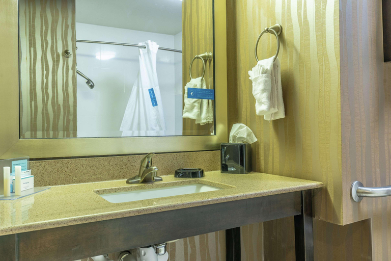 Bathroom 4, Hampton Inn Milledgeville, Baldwin