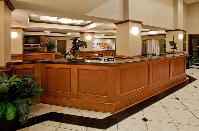 Public Area 3, Holiday Inn Express & Suites ADA by IHG, Pontotoc