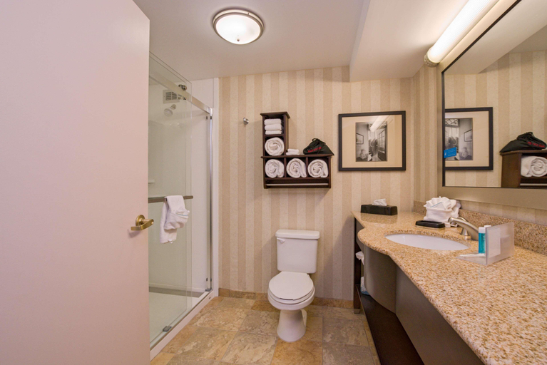 Bathroom 4, Hampton Inn Portsmouth Central, Rockingham