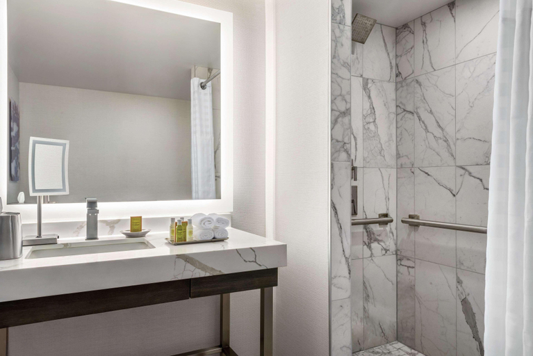 Bathroom 5, Hilton Grand Vacations Club Chicago Magnificent M, Cook