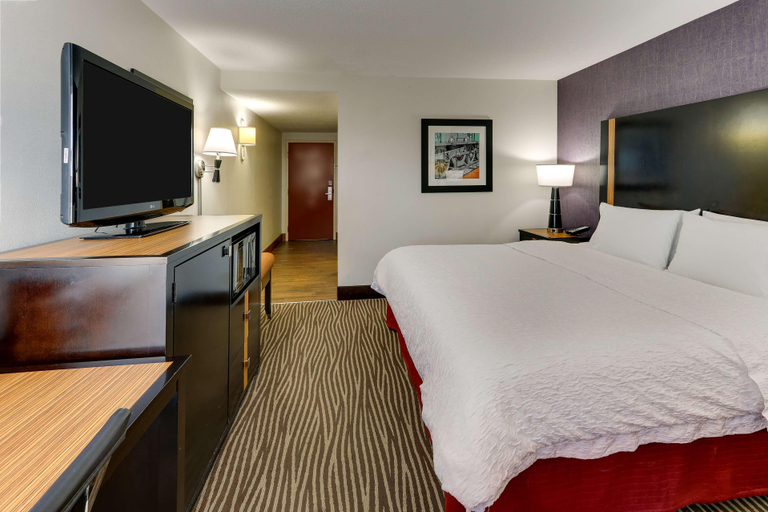 Bedroom 3, Hampton Inn Springfield, Clark