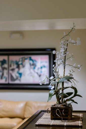 Bedroom, SW Hotel, San Francisco