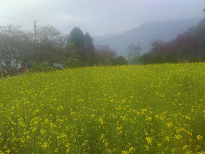 Others 5, Great Nature Villa, Nantou