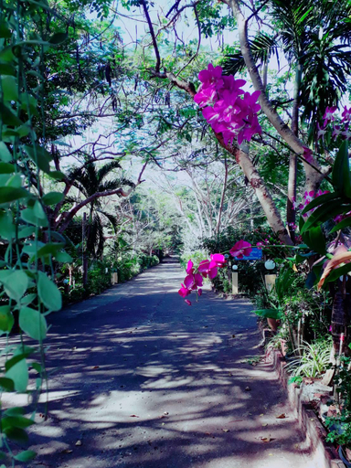 Others 4, Faasai resort and Spa, K. Na Yai Am