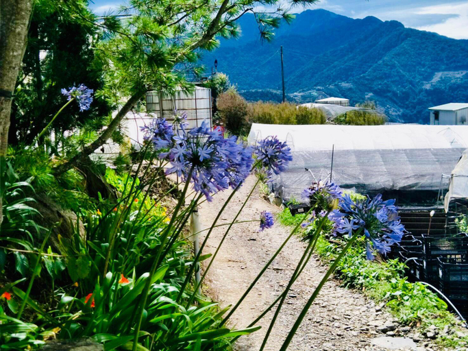 Others 5, Flower and Star Garden Bed and Breakfast, Nantou