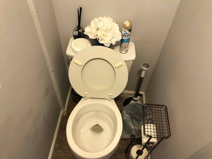 Bathroom, Tiny Home Downtown Lenoir City, Loudon