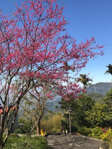 1, Starlight Forest B&B, Chiayi County
