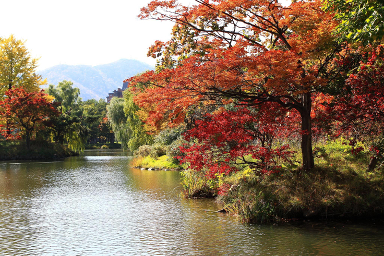 Nearby Landmark 4, Imperial Ever Nakajima Park II / Vacation STAY 2601, Sapporo