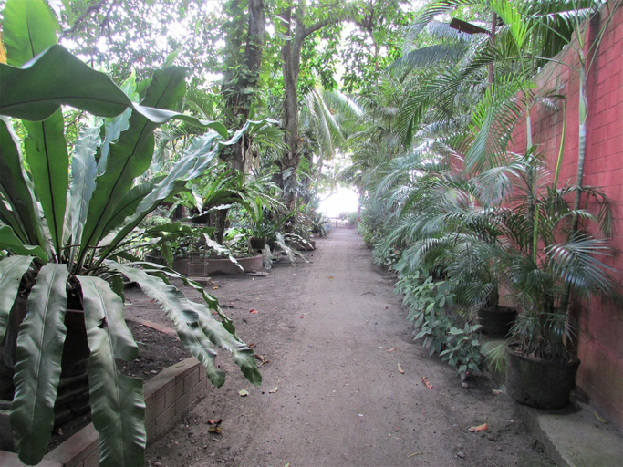 Others 5, Felipa Beach Residence - Lotus, Dumaguete City