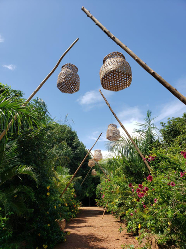 Others 3, Mabamba Lodge, Busiiro