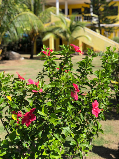 Others 5, Sunshine Hotel, Laguna de Perlas