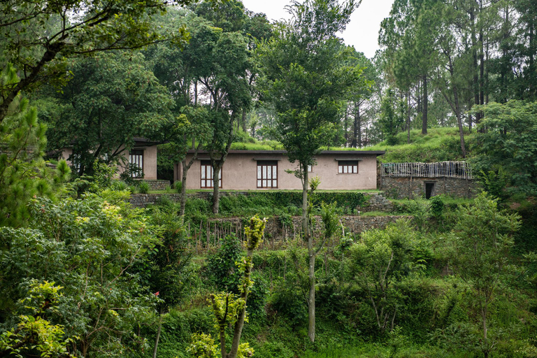 Exterior & Views 1, AMAYA, Solan