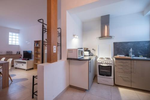 LeDauphin-GrandAppartement-Calme-Amboise, Indre-et-Loire