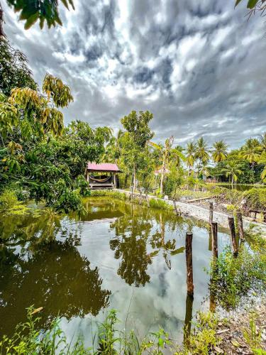 Pka Jek Tum (ផ្កាចេកទុំ), Svay Pao