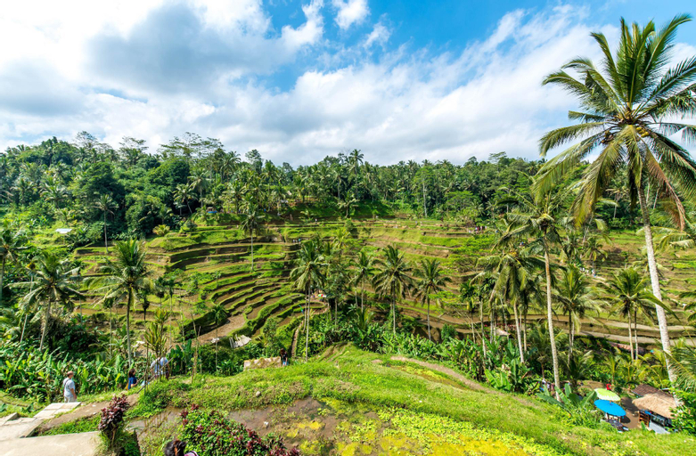 Nearby Landmark 3, Aix Cottage Ubud, Gianyar