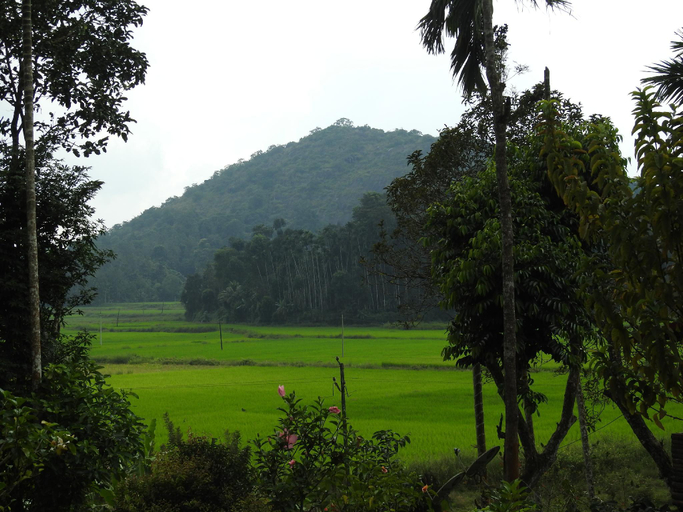 Exterior view, The bliss coorg, Kodagu