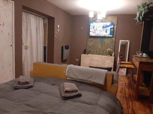 2, Elegante Monoambiente, Confluencia