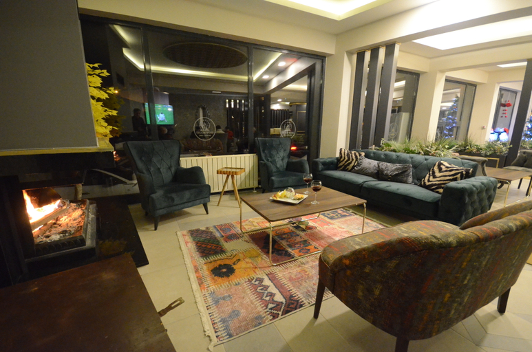 Public Area 2, Snow Mount Hotel, Sarıkamış