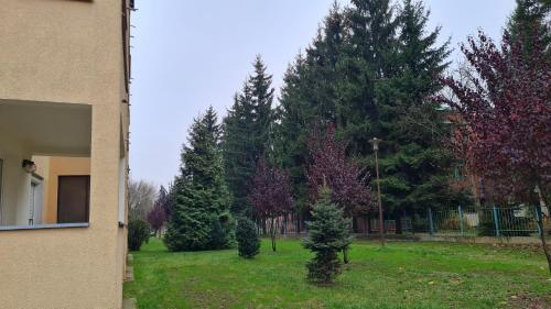 Tulim, Warsaw