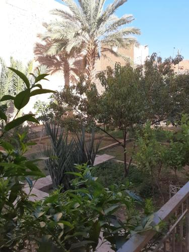 5, Jardin Saad, Errachidia