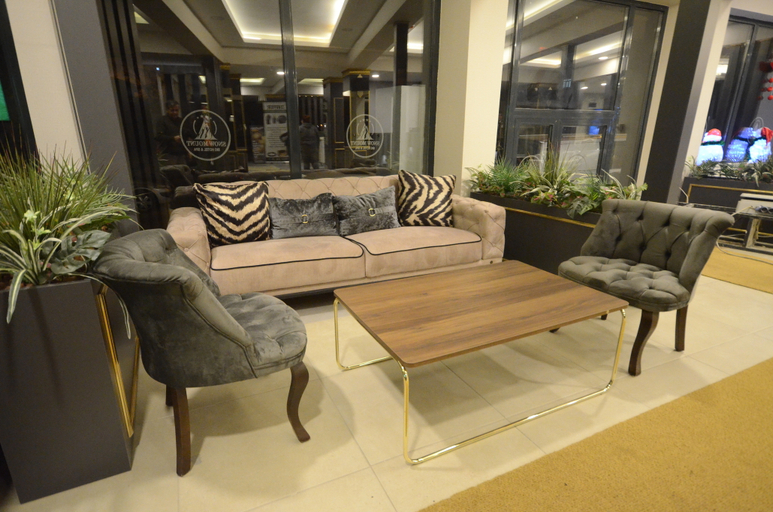 Public Area 4, Snow Mount Hotel, Sarıkamış