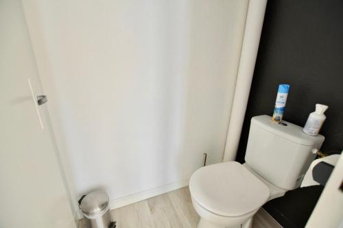Superbe appartement renove de 50m2 au centre ville, Maine-et-Loire