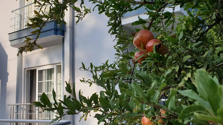 Others 3, Kemer House Apartment | Forest View & 2 Balconies 2, Kemer