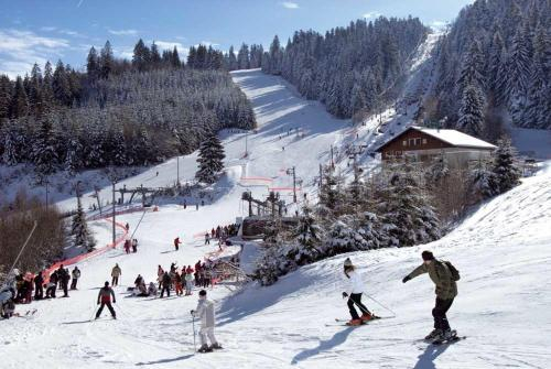 2, La parenthese Geromoise, Vosges