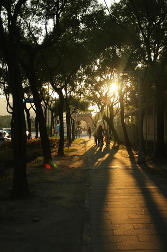 Others 5, Bear Hotel, New Taipei City