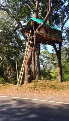 WAYANAD NEST, Wayanad