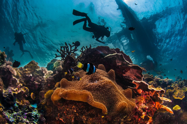 Others 2, Deep Roots Dive & Yoga Resort, Klungkung