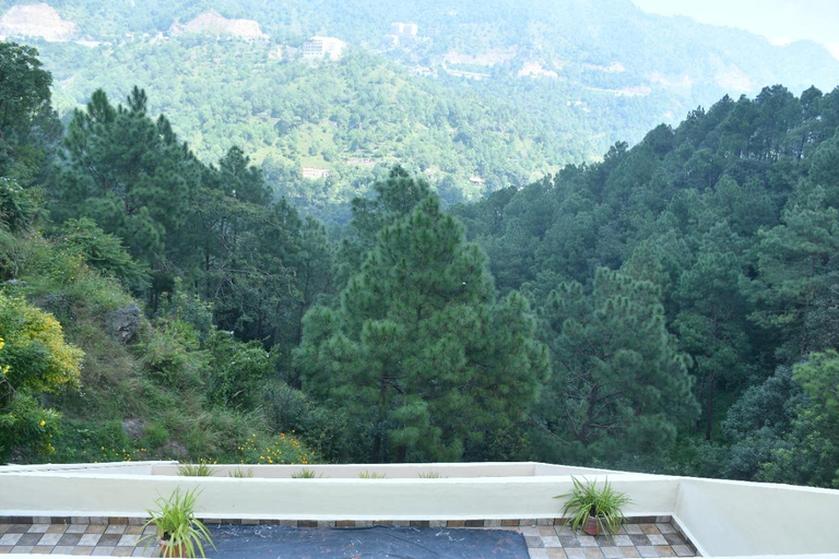Sport & Beauty, Misty Meadows Resorts, Solan