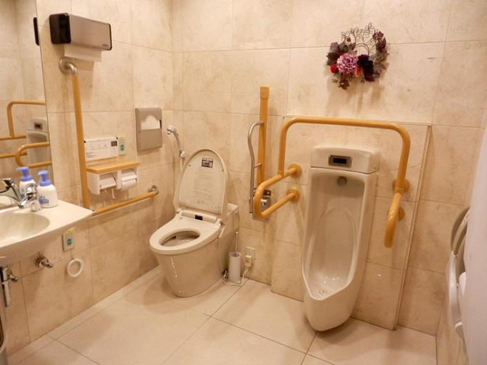 Bathroom 3, Toyoko Inn Tsuruga Ekimae, Tsuruga